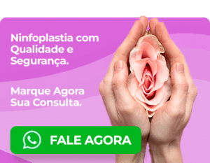 ninfoplastia labioplastia marabá cirurgia intima feminina andré paese